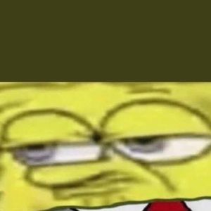 Meet your Posher, Sammy